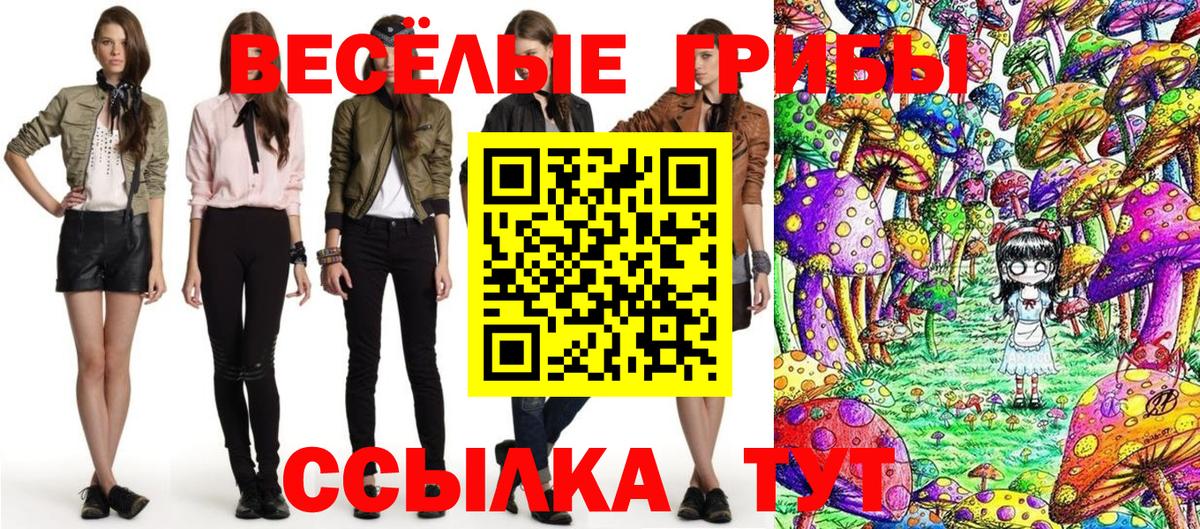 Псилоцибиновые грибы Magic Shrooms Владивосток