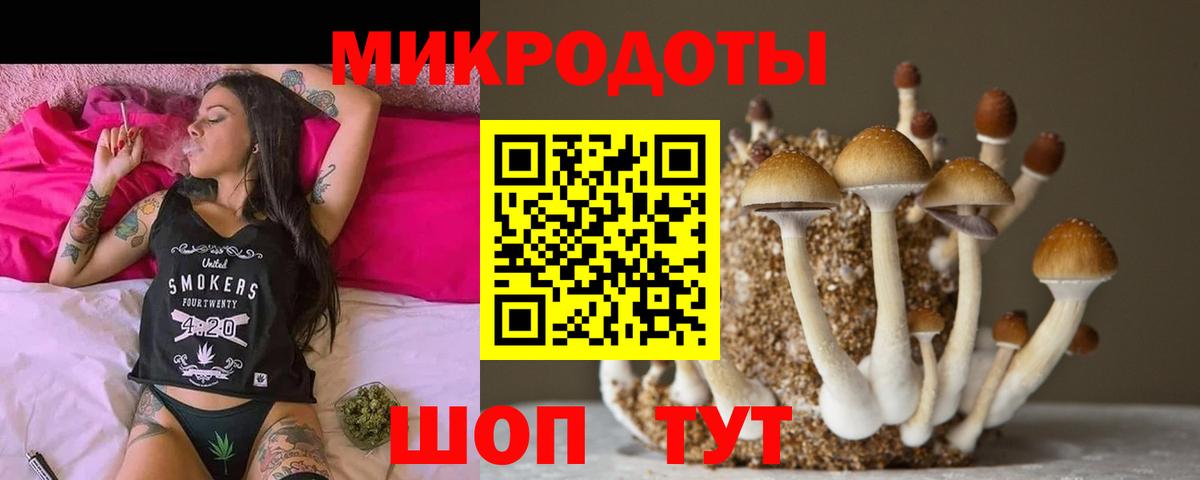 Владивосток  Галлюциногенные грибы MAGIC MUSHROOMS  Вход с VPN 